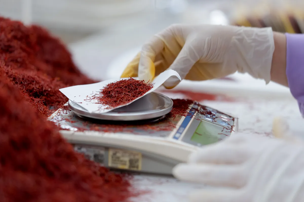 Buy Bulk Persian Saffron Types