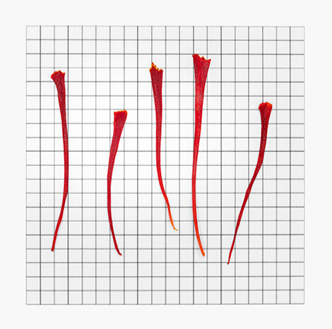 Iranian Super Negin saffron Traits