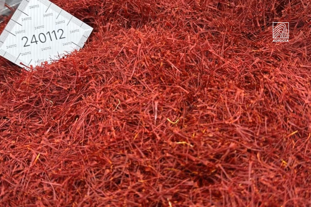 Saffron supply 