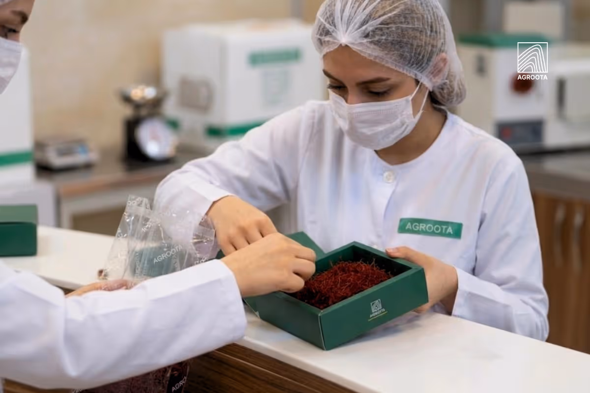 Agroota Saffron Supply Chain Stability for Buyers