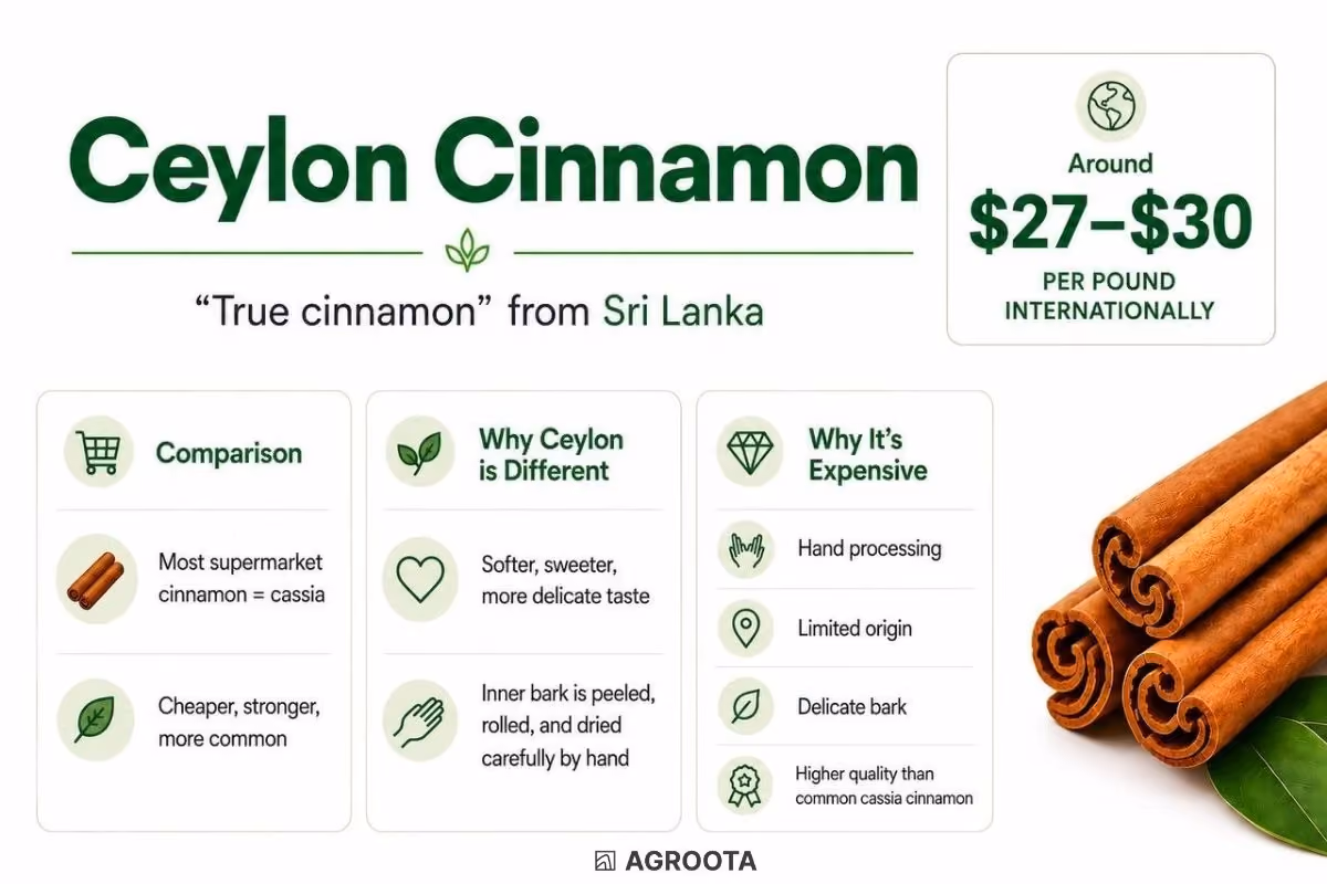 Ceylon Cinnamon, one of the most expensive spice in the world