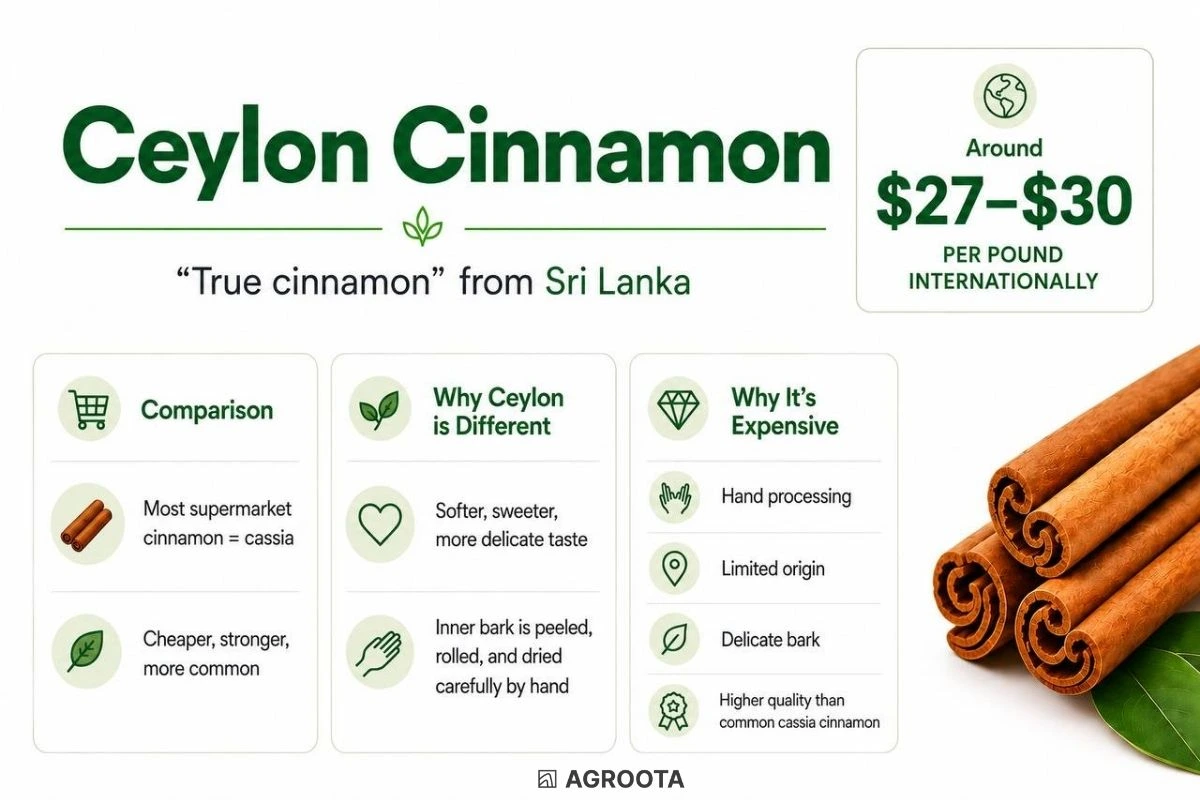  Ceylon Cinnamon, one of the most expensive spice in the world