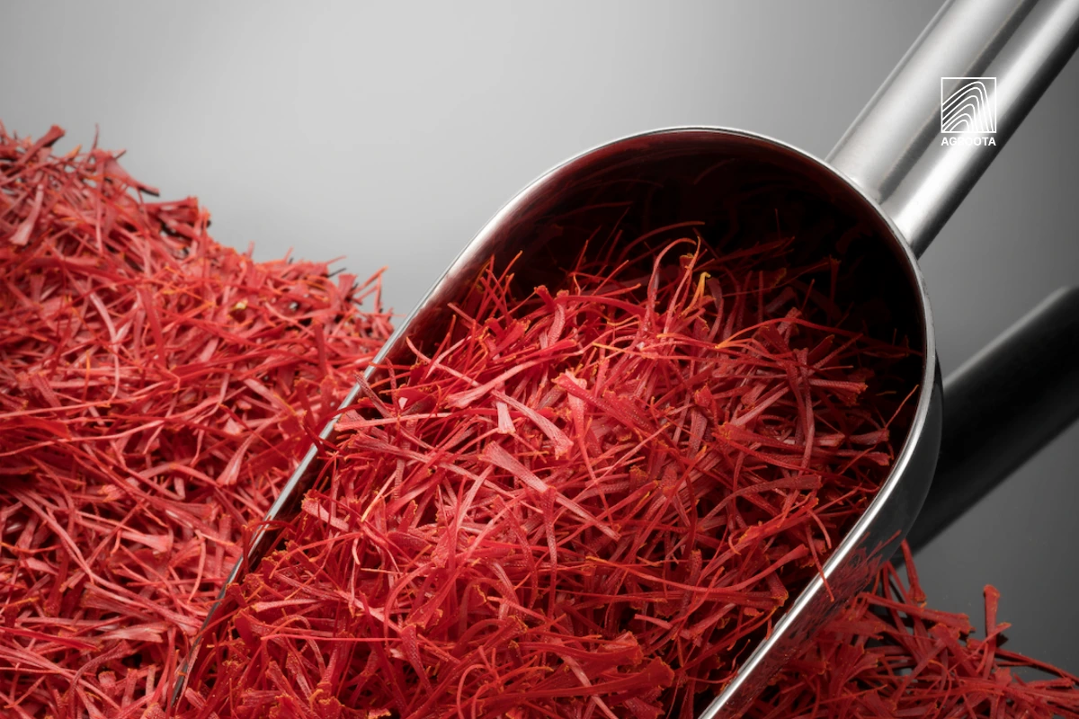 health benefits of saffron tea