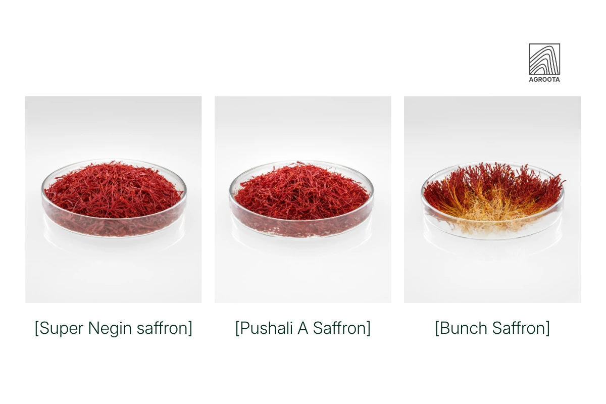 Saffron Types and Their Commercial Applications