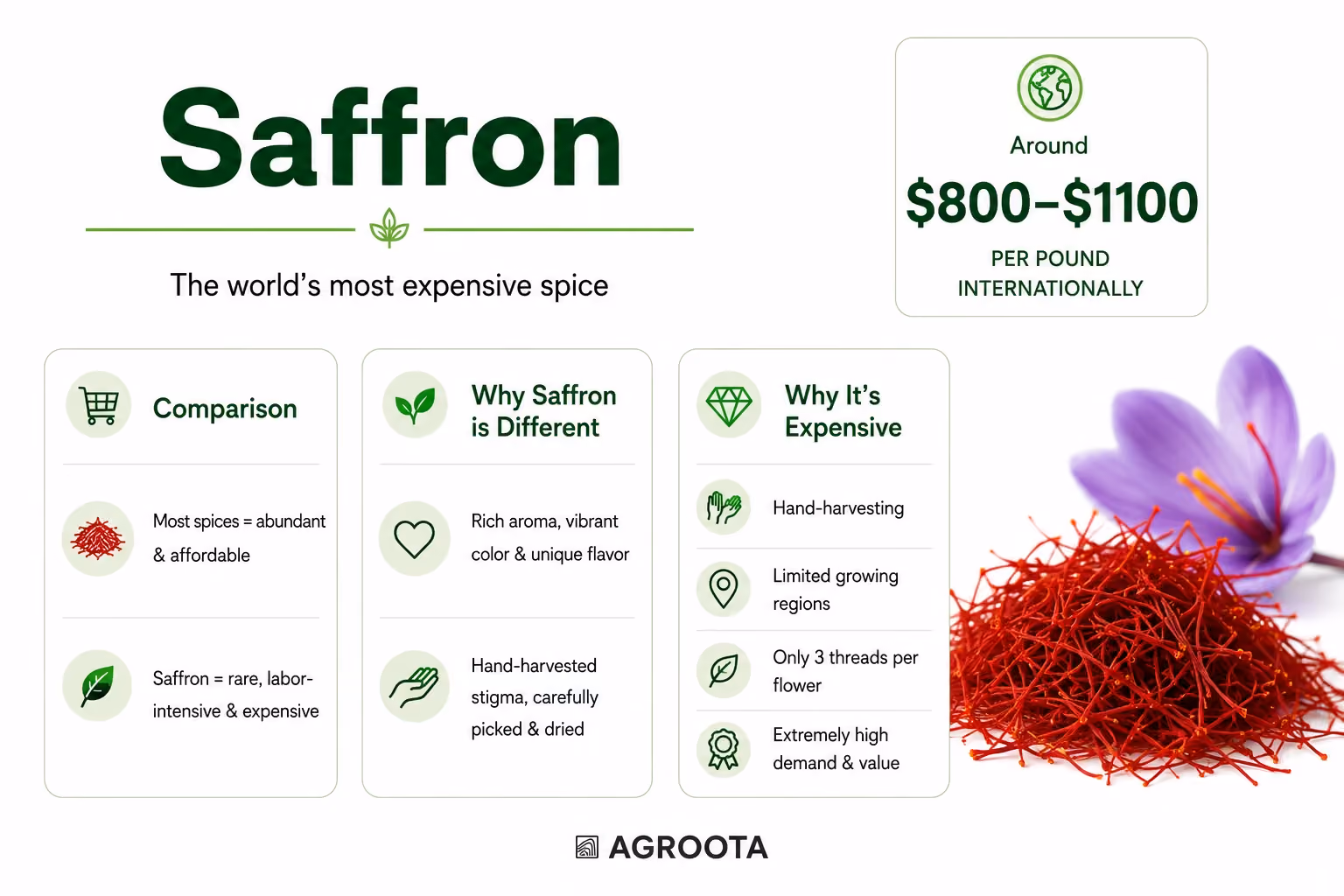 saffron, the most expensive spice in the world