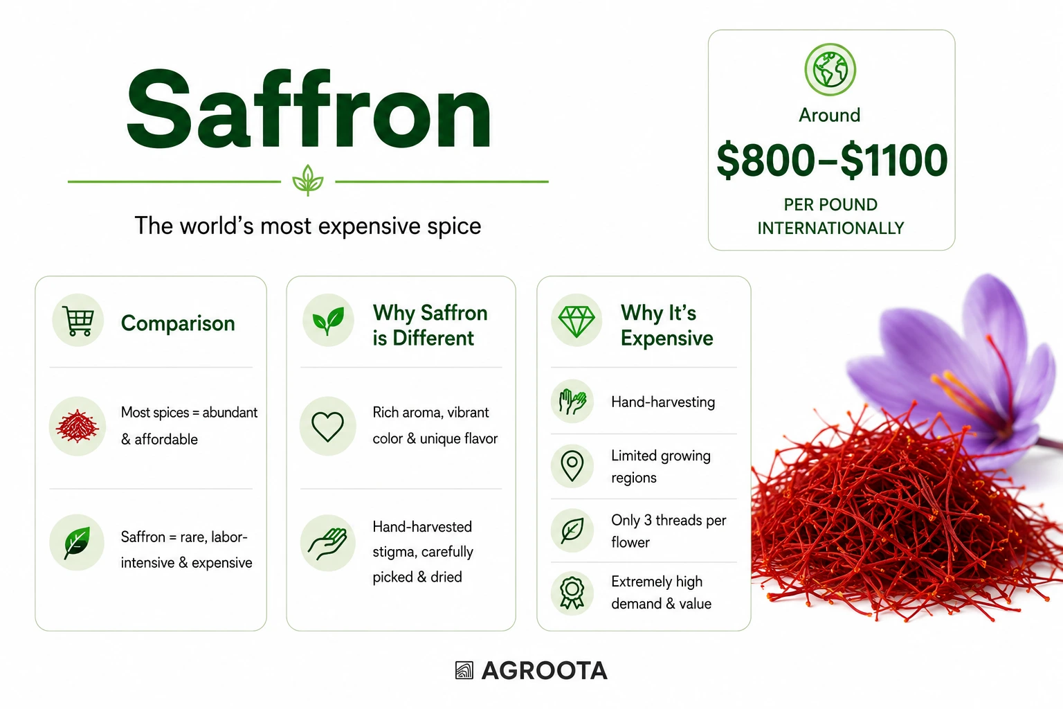 saffron, the most expensive spice in the world