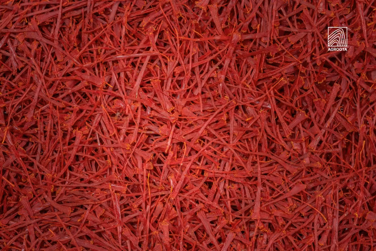 What Does Saffron Smell Like