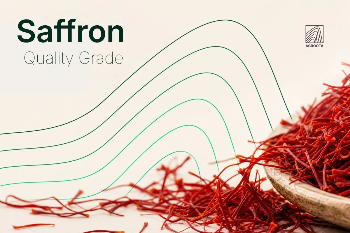 Grades of Saffron