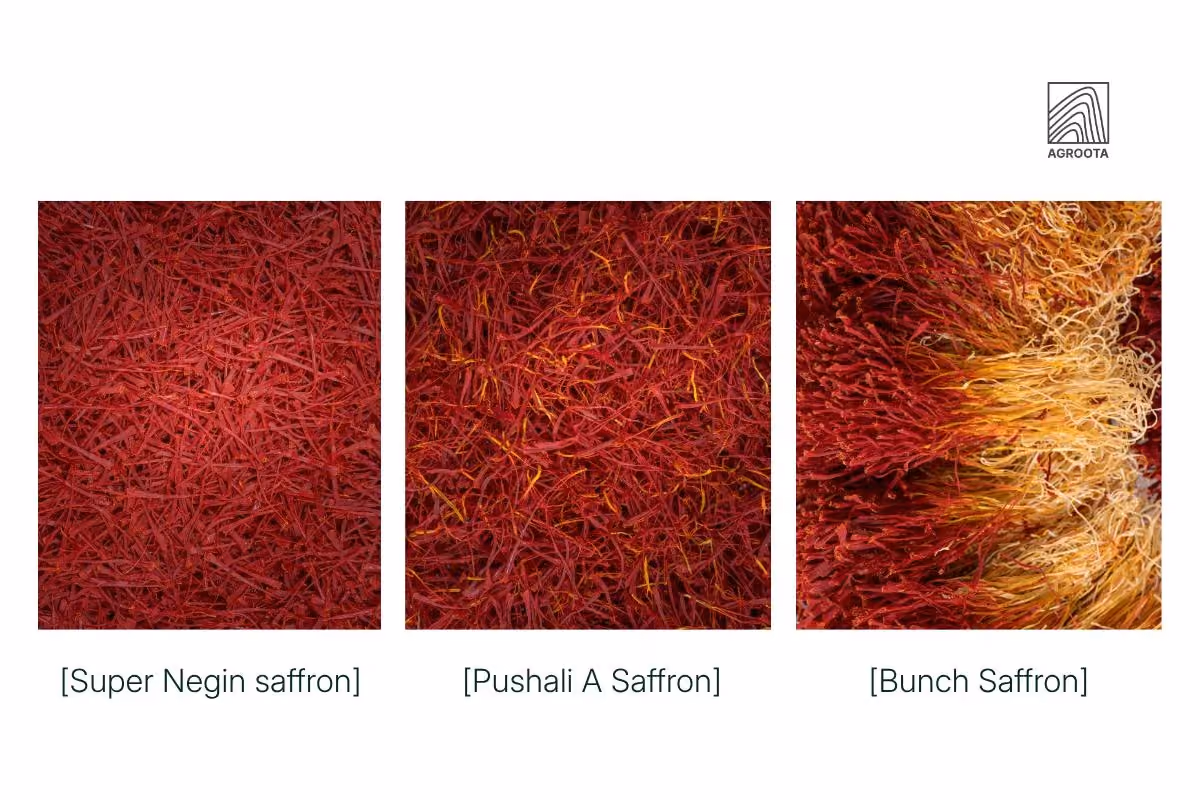 saffron quality grades