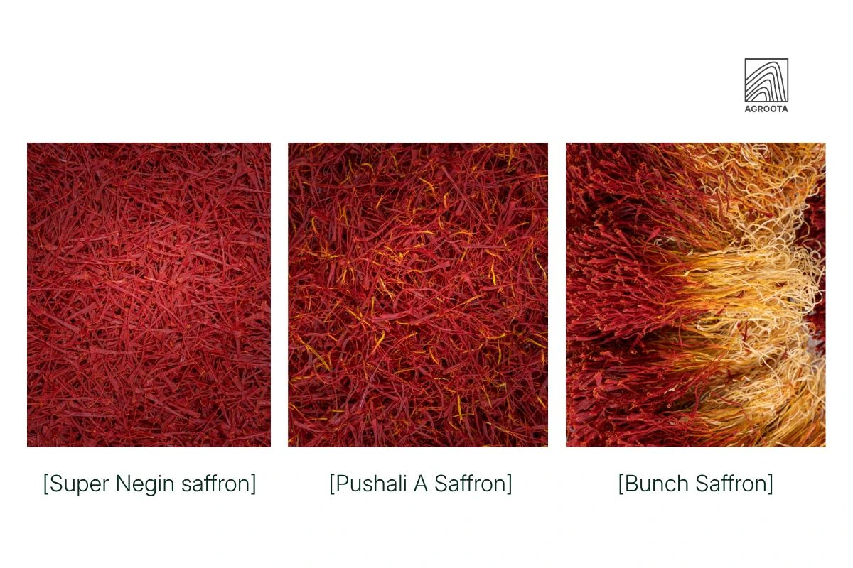 saffron quality grades