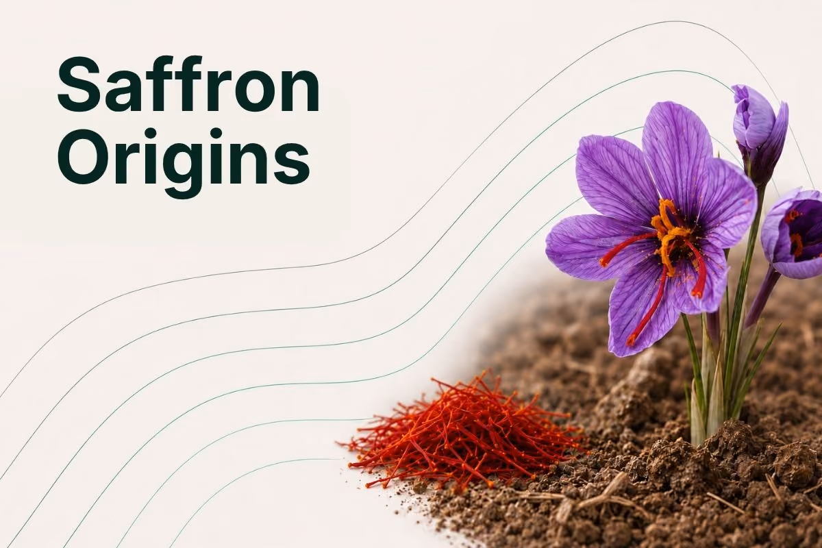 saffron origin