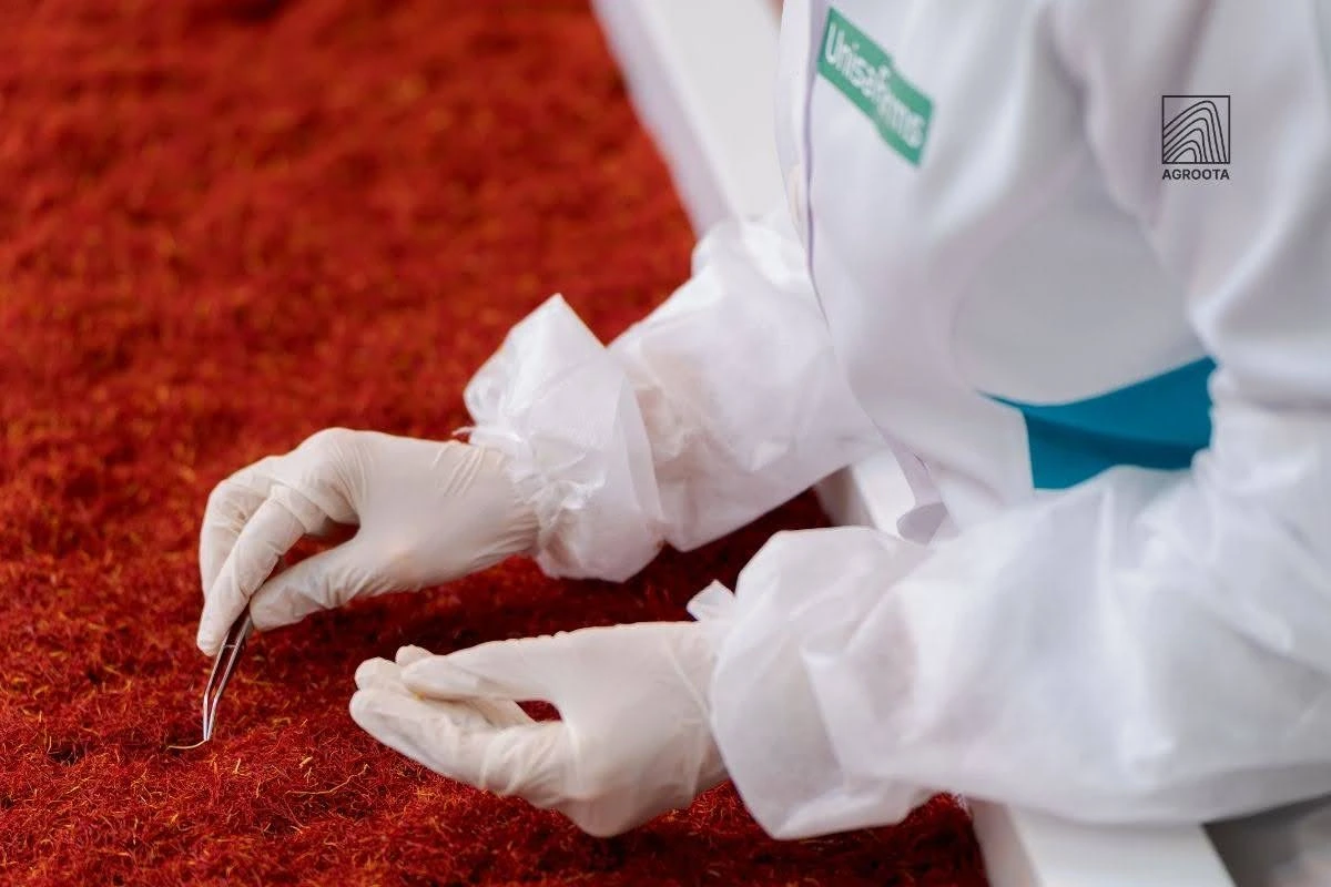 how to use saffron