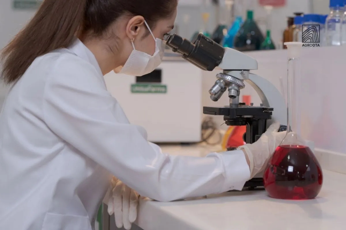 ISO 3632 Explained: The Global Standard for Saffron Quality