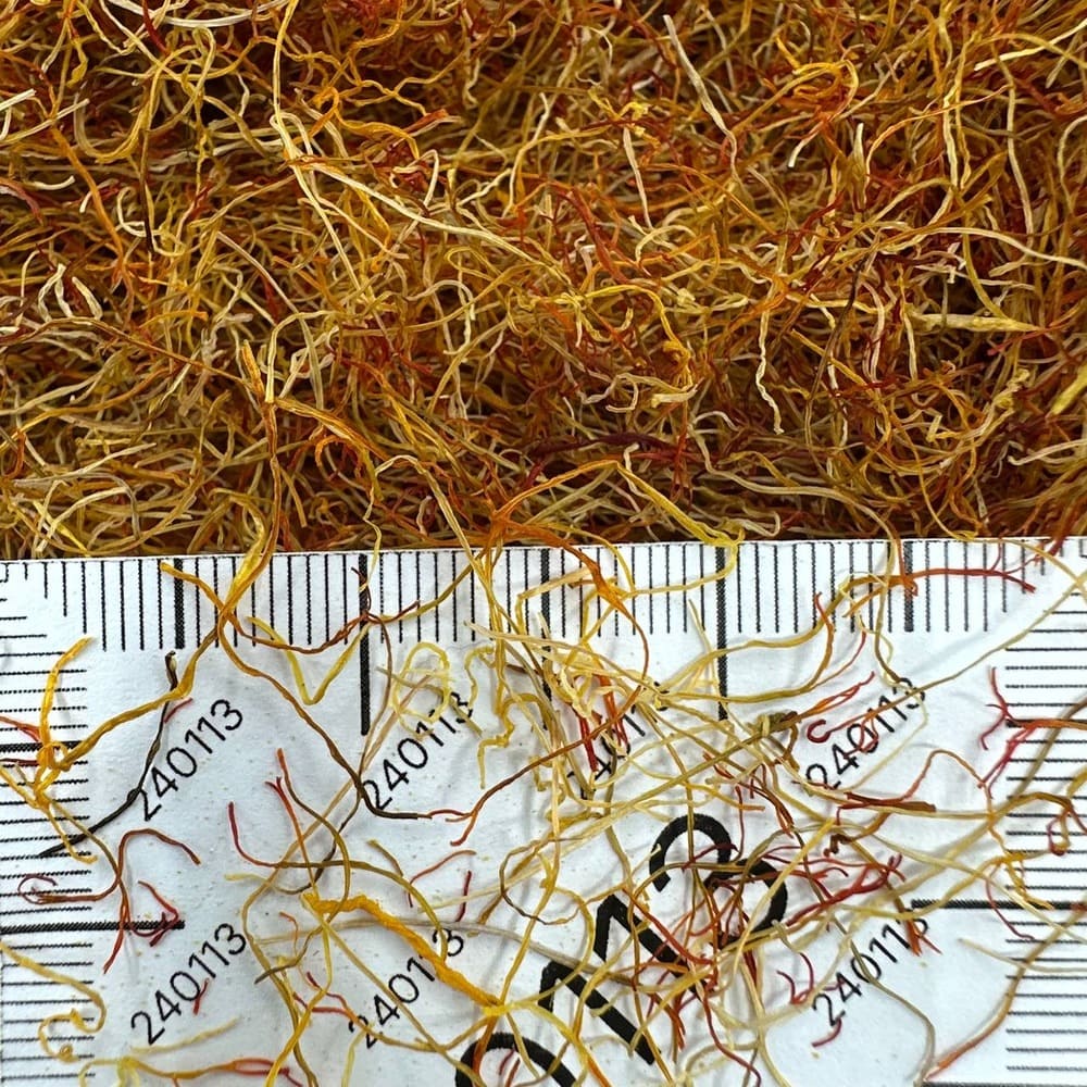 White Saffron #240113