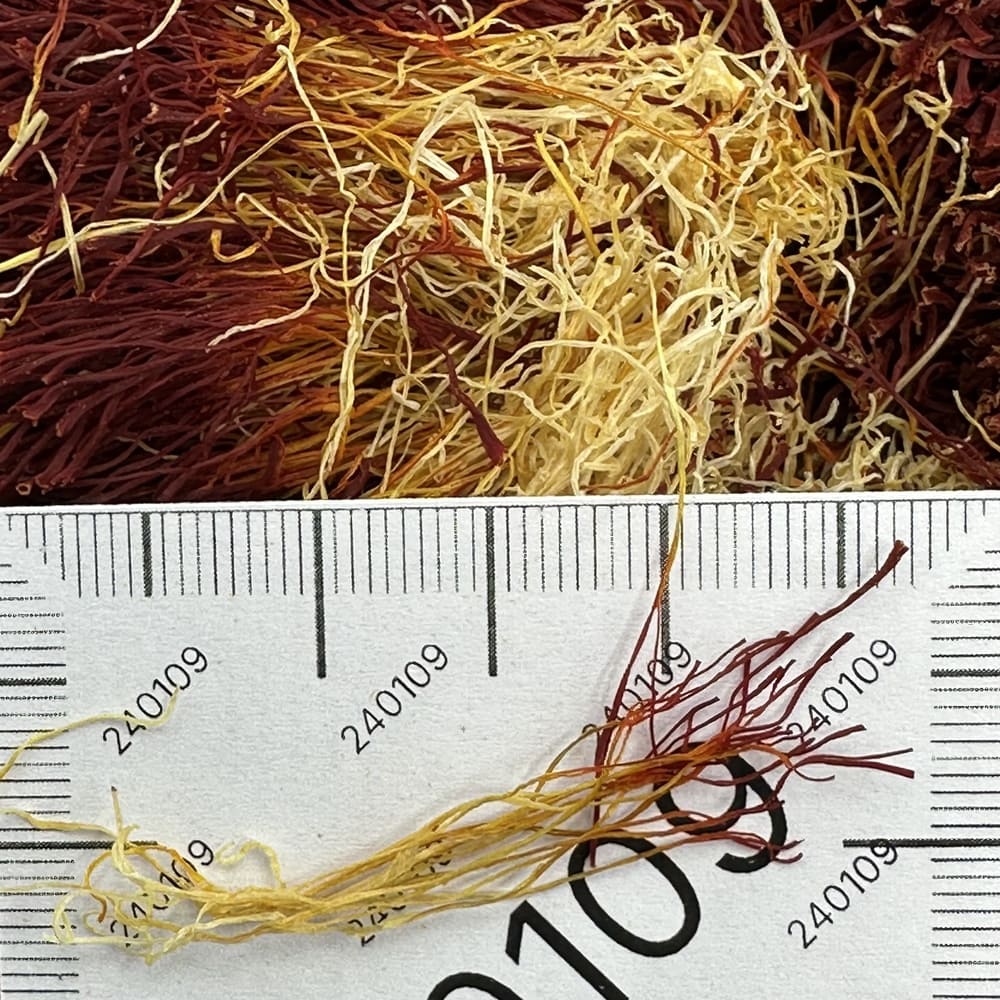 Bunch Saffron - 240109