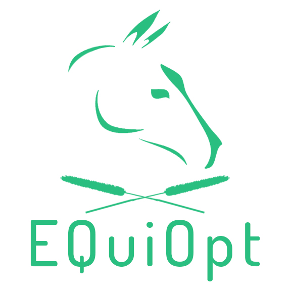 EQuiOpt