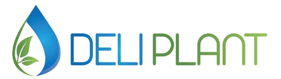 DELI PLANT