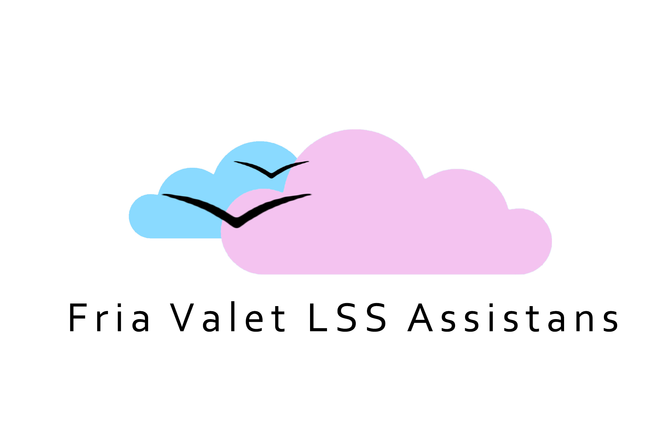 Fria valet LSS assistans