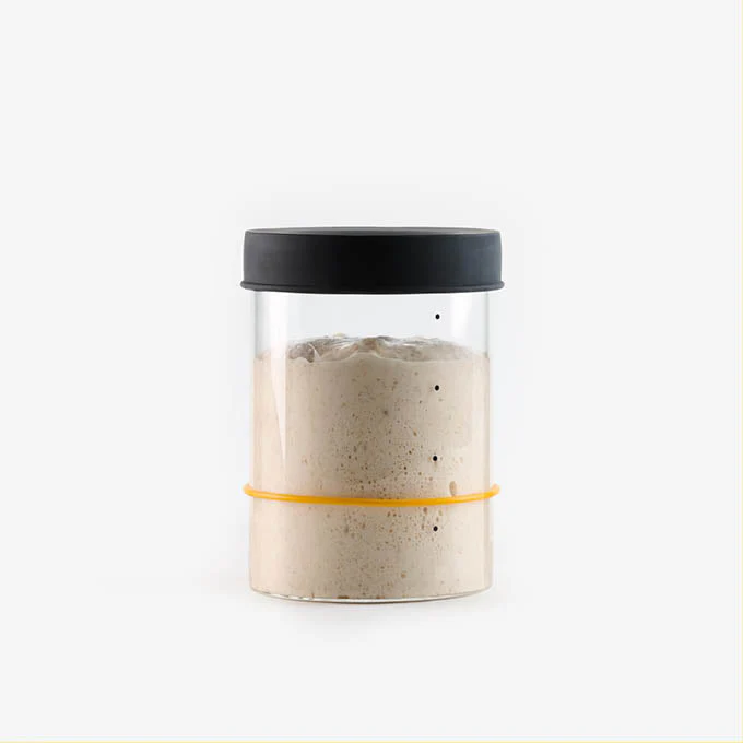 Sourhouse Starter Jars