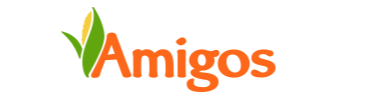Amigos