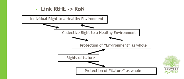 A diagram representing how Rights of Nature fulfil obligations to secure the RtHE and protect nature as a whole.