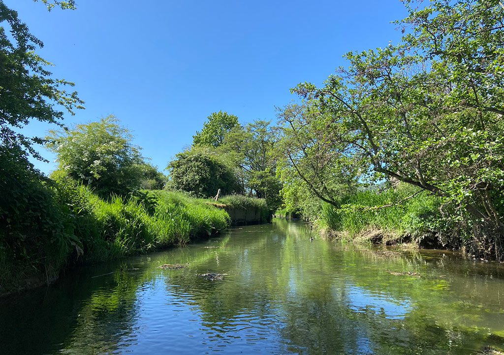 Image of a river with grassy banks and trees either side. 
