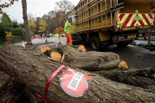 A felled tree with a 'Highway Maintenance' van in the background. 