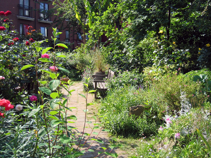 A bench hidden amongst plants in a garden. 