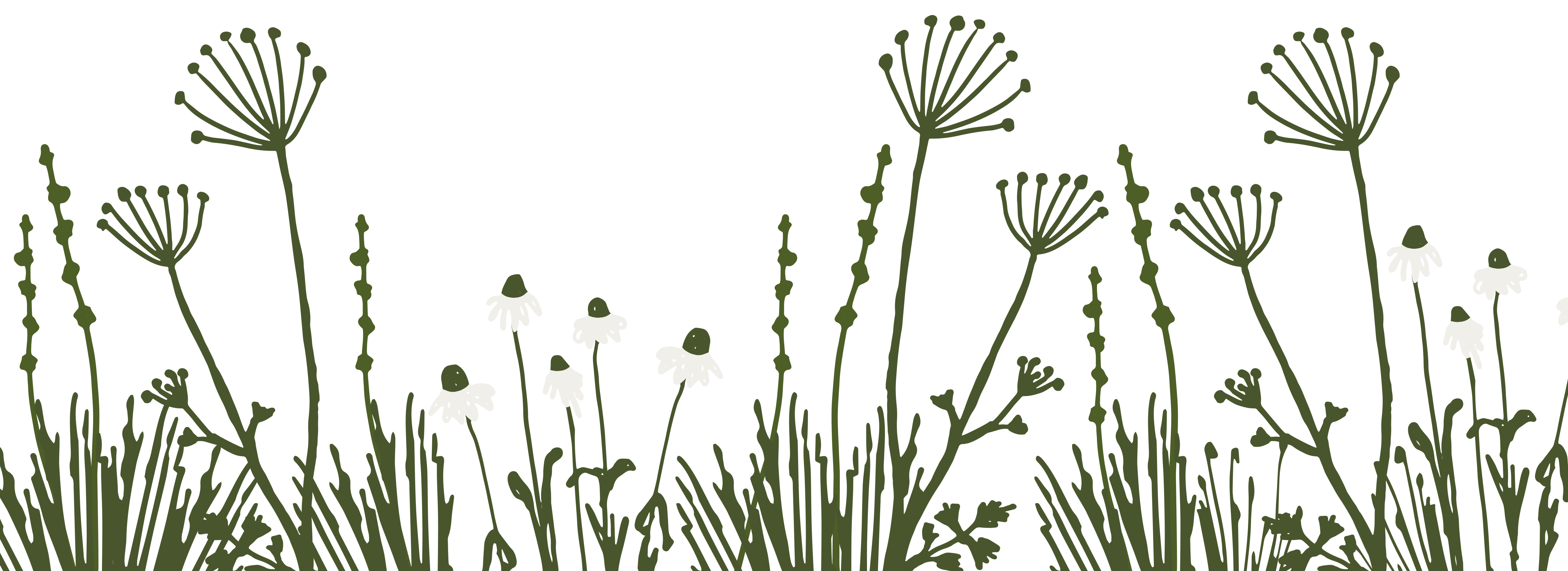 Illustration of grass and reeds