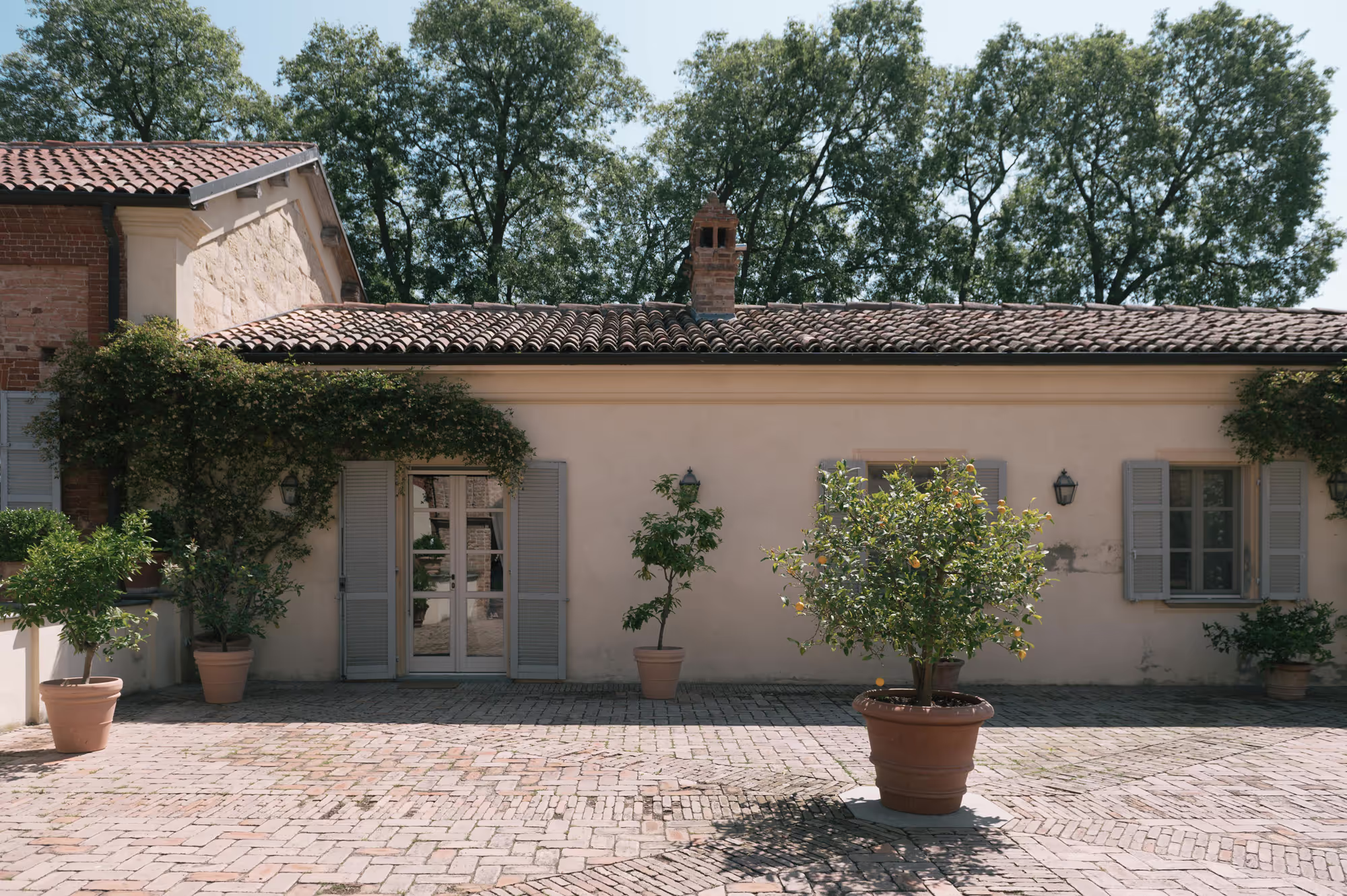Ein sonniger Innenhof mit gepflastertem Boden, großen Tontöpfen mit Zitrusbäumen und einem Haus mit hellen Fensterläden und Kletterpflanzen.
