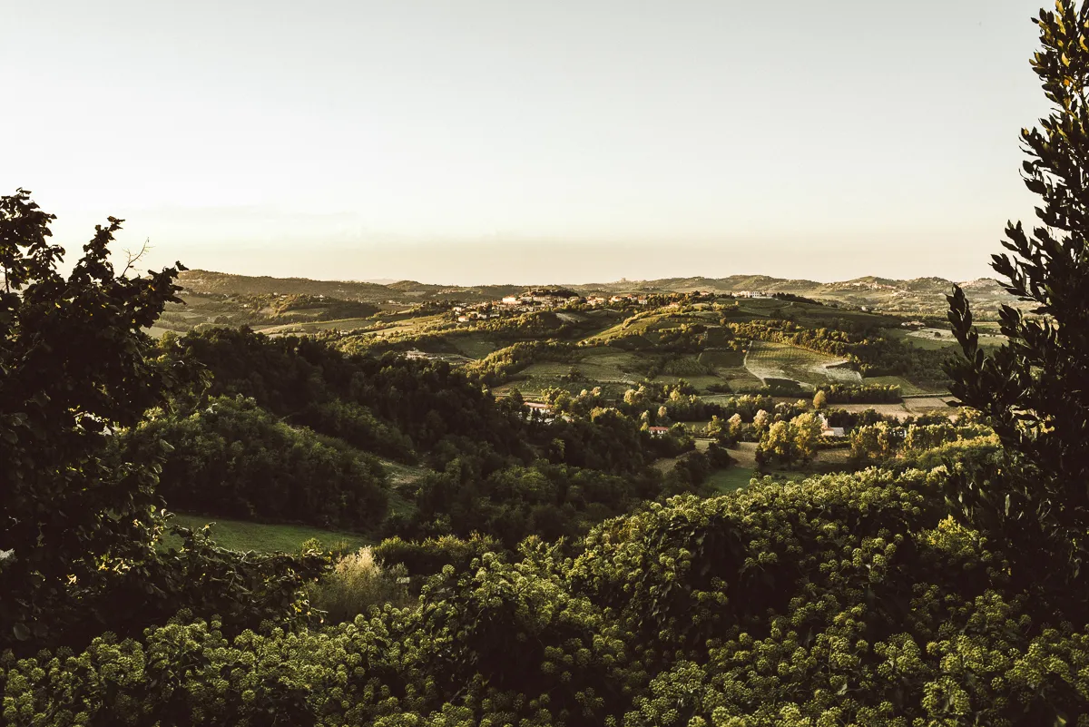 Landschaft mit grünen Hügeln und Dörfern im warmen Abendlicht, umrahmt von Bäumen im Vordergrund.