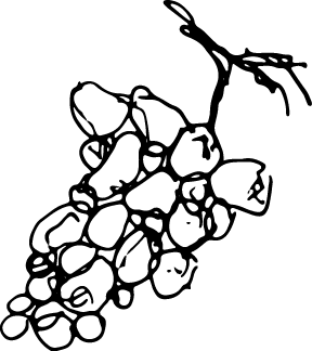 Fare un Giro Illustration Trauben schwarz