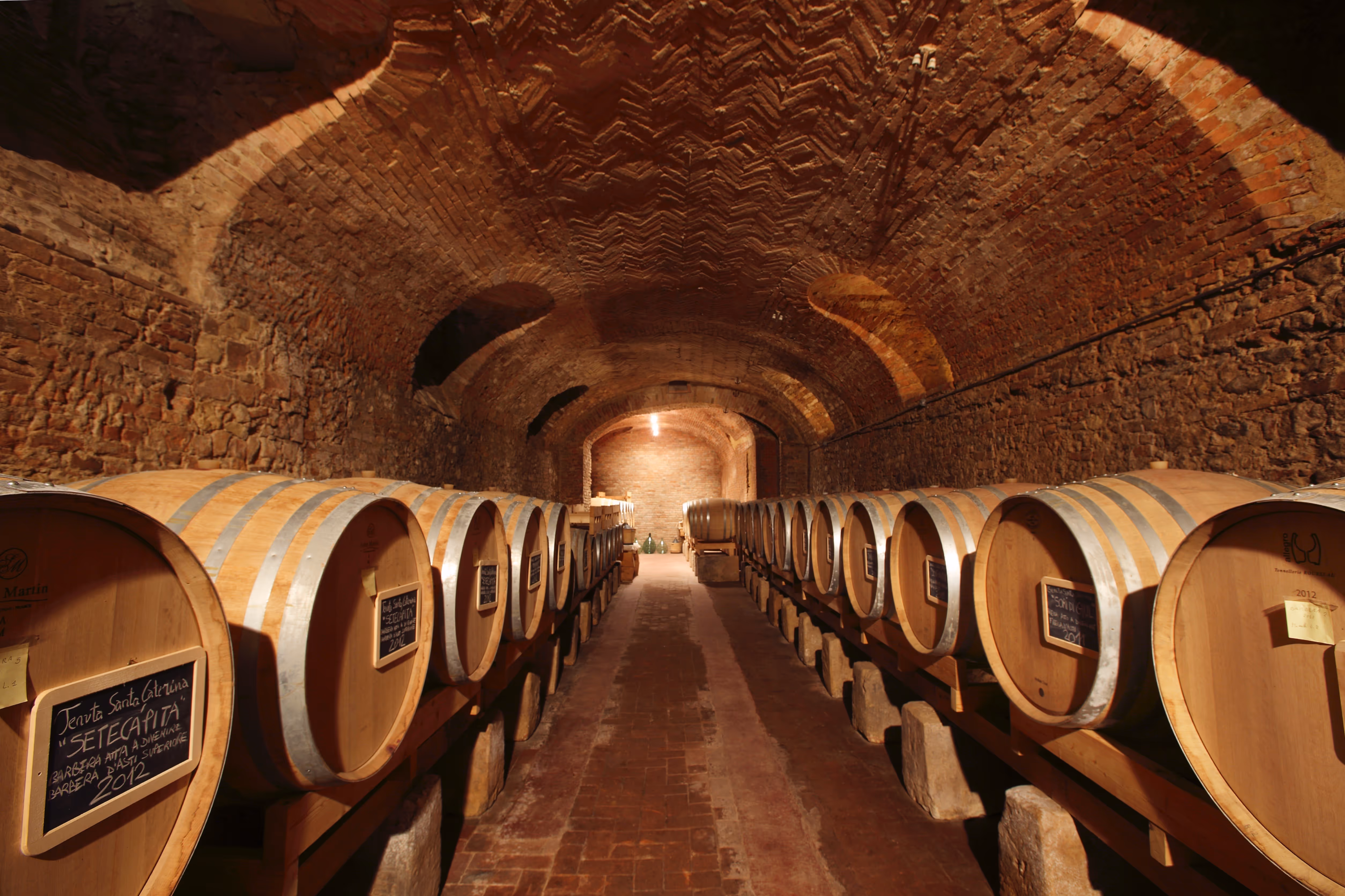 Weinkeller mit doppelter Reihe Eichenfässer unter einem gewölbten Backsteinboden.