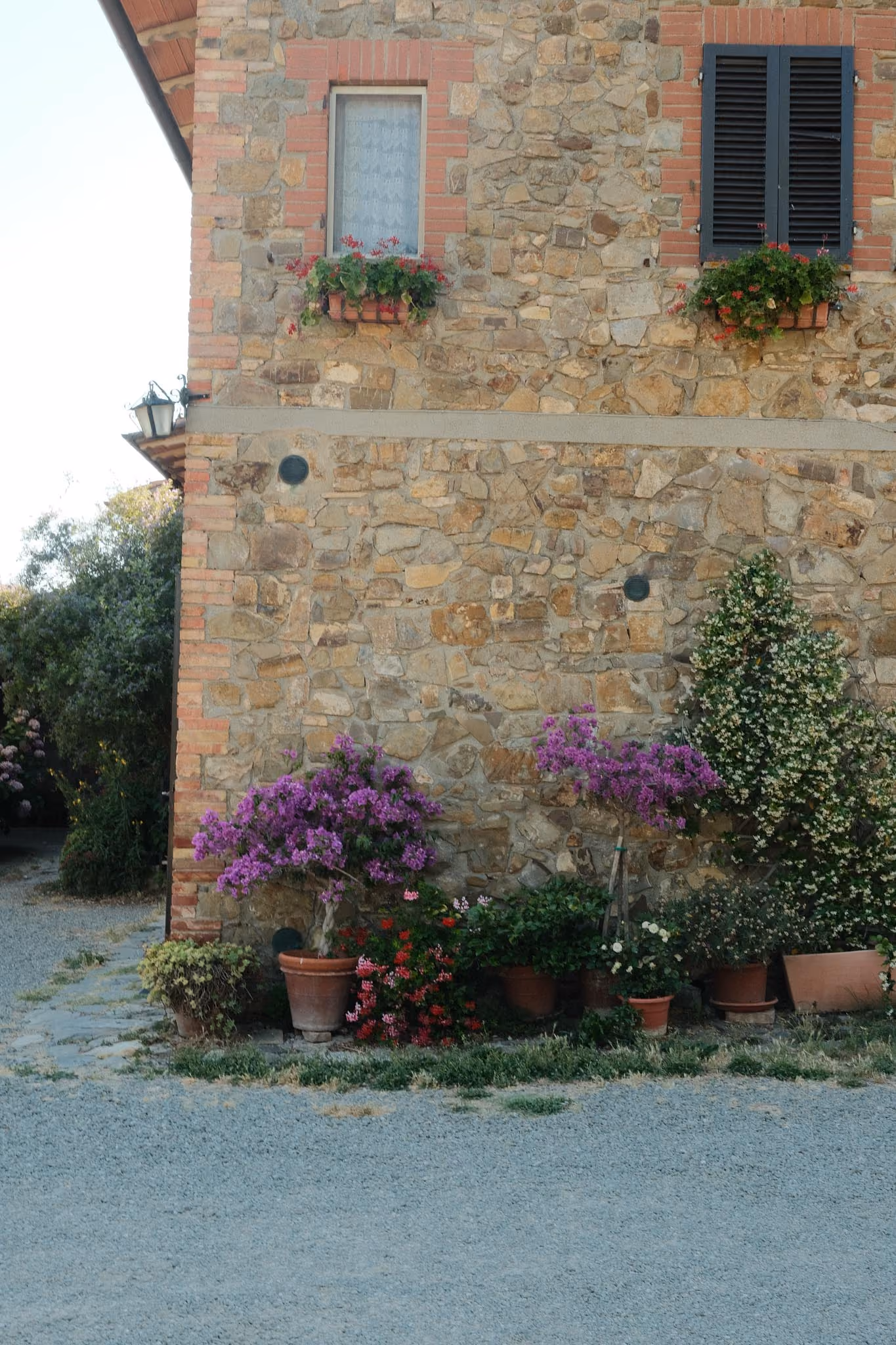 Ecke eines Hauses aus Stein mit zwei Fenstern, von denen eines weiße Gardinen hat und das andere schwarze Fensterläden; darunter stehen verschiedene Blumentöpfe mit lila, roten und weißen Blumen sowie grünem Laub.