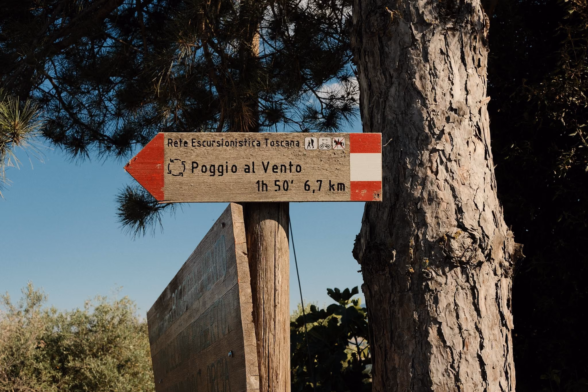 Wegweiser aus Holz an einem Baum mit Aufschrift „Rete Escursionistica Toscana“, zeigt Richtung und Entfernung zu Poggio al Vento, 1 Stunde 50 Minuten, 6,7 Kilometer.