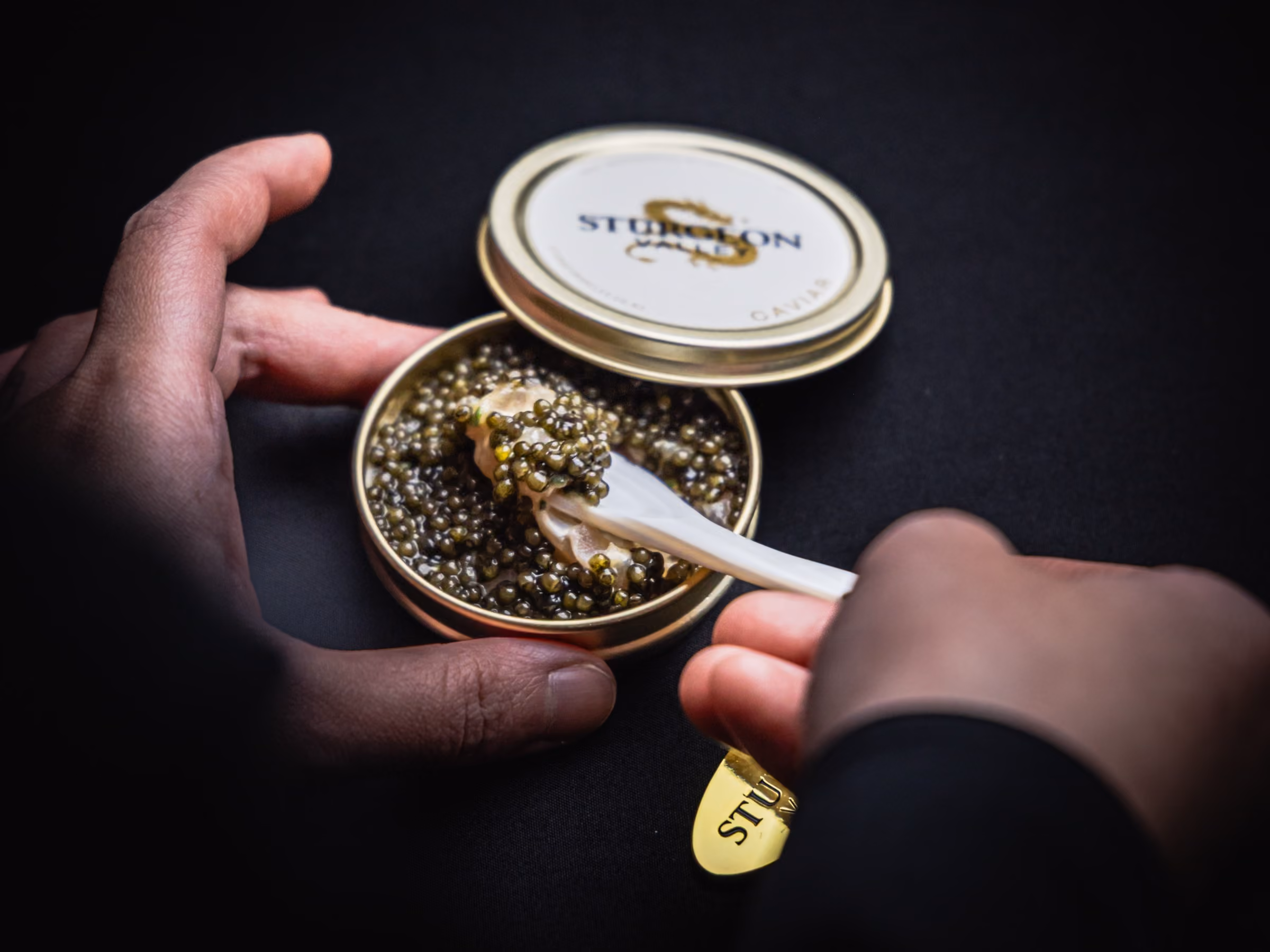 Caviar Progression Dinner