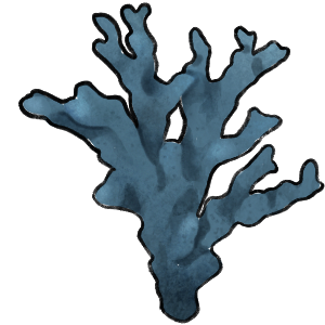 A piece of jagged blue coral.
