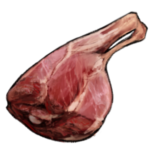A dark red joint of raw meat with some bone showing.