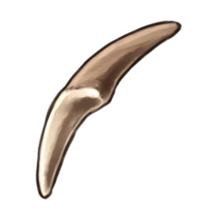 An animal fang.