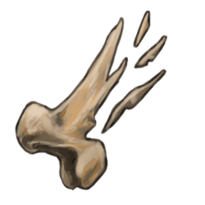 A knob of bone broken into shards.