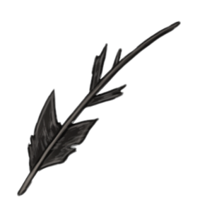 A ragged black feather.