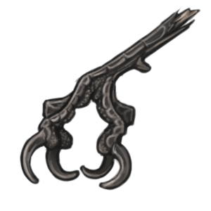 A black bird foot.