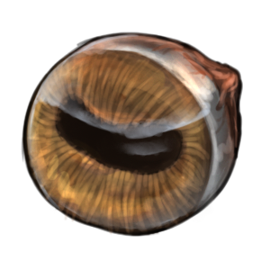 An eyeball with a golden brown iris and a horizontal pupil.
