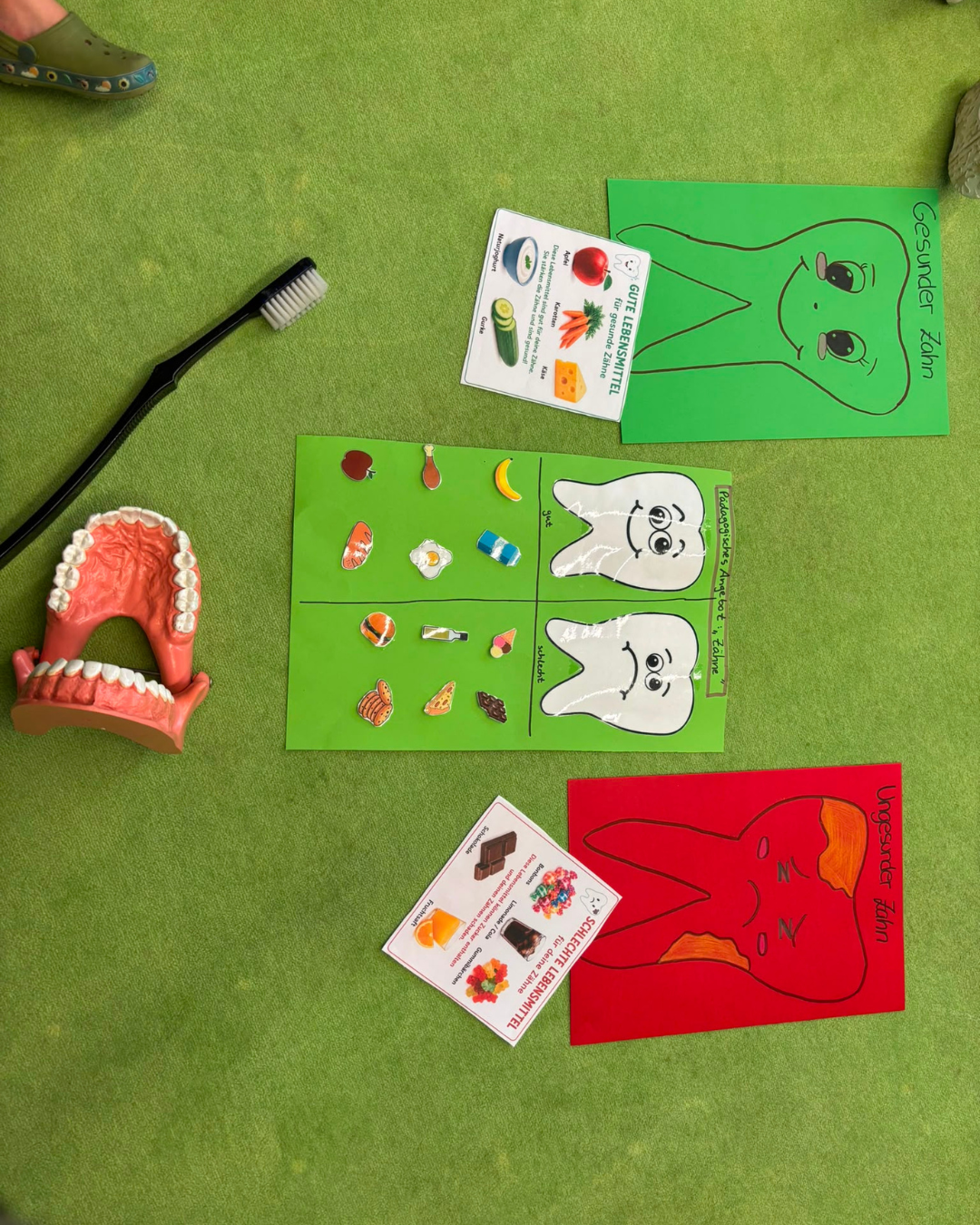Zahnmodell, große Bürste und Sortierspiel zu zahngesunden Lebensmitteln in der elbzwerge Kita Harburg