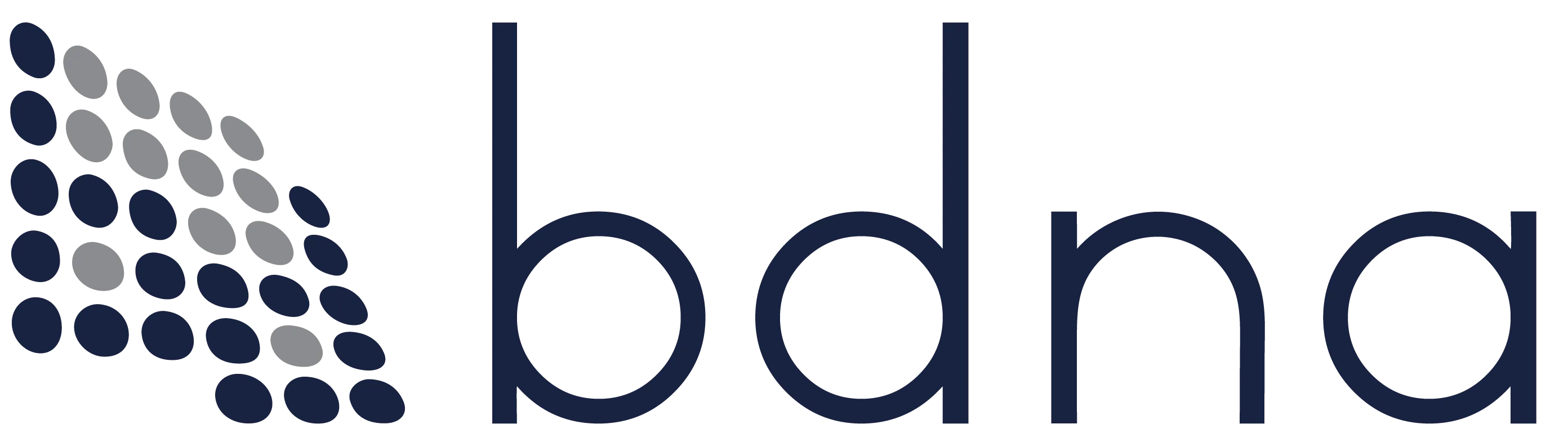bdna logo dark projectworks customer story