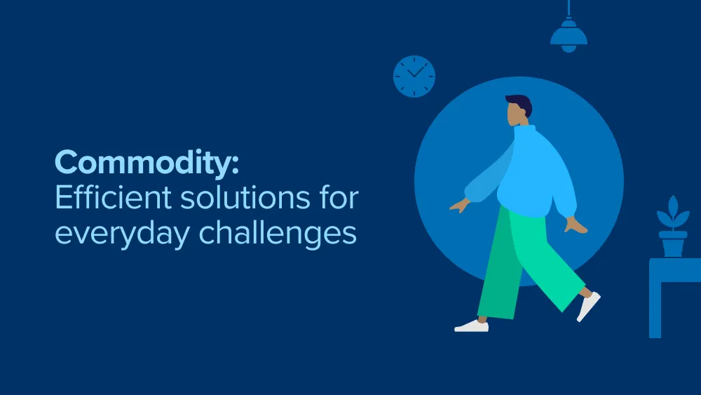 1. Commodity: efficient solutions for everyday challenges