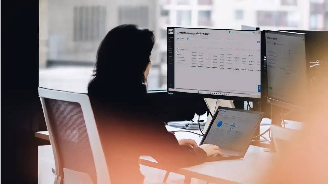 Consultant working at computer with Projectworks financial report on screen.