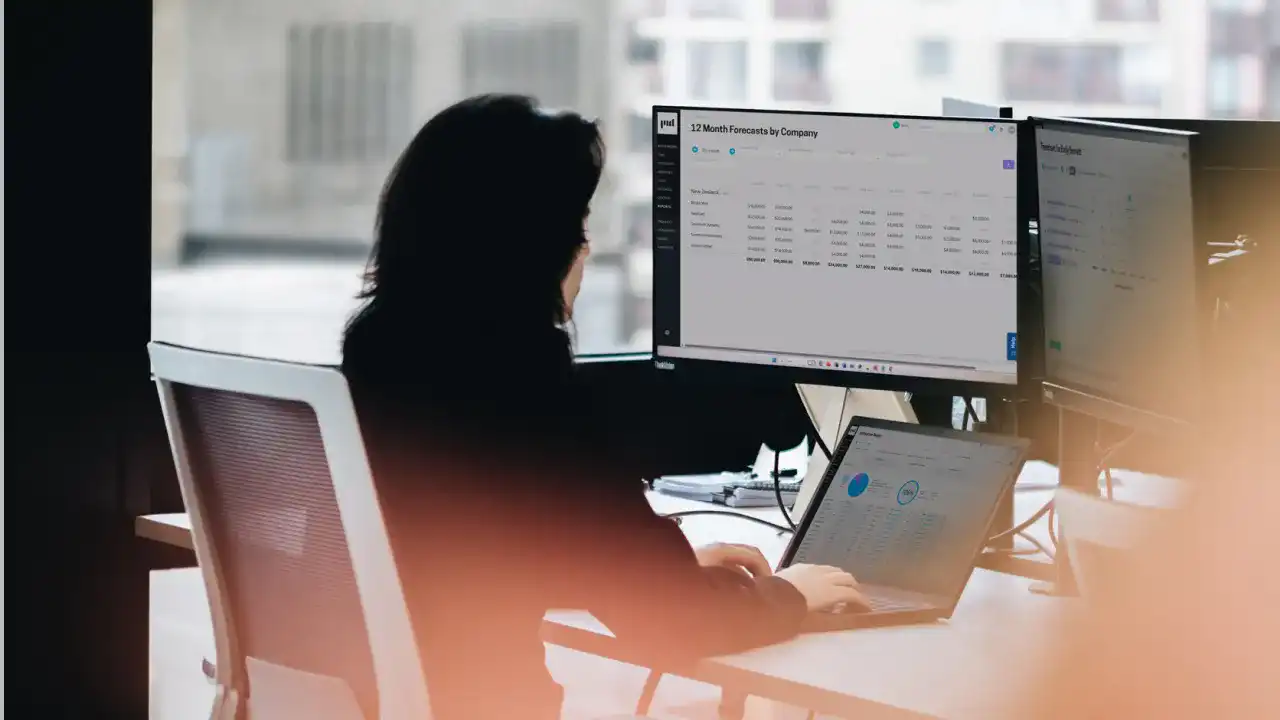 Consultant working at computer with Projectworks financial report on screen.