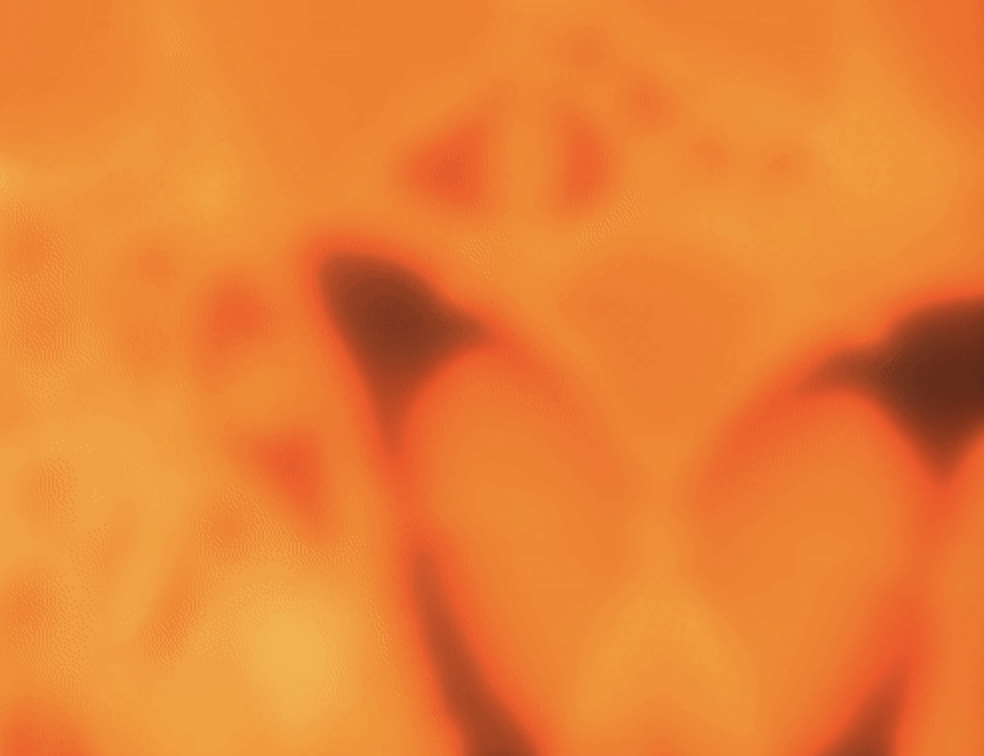 PFA studio image