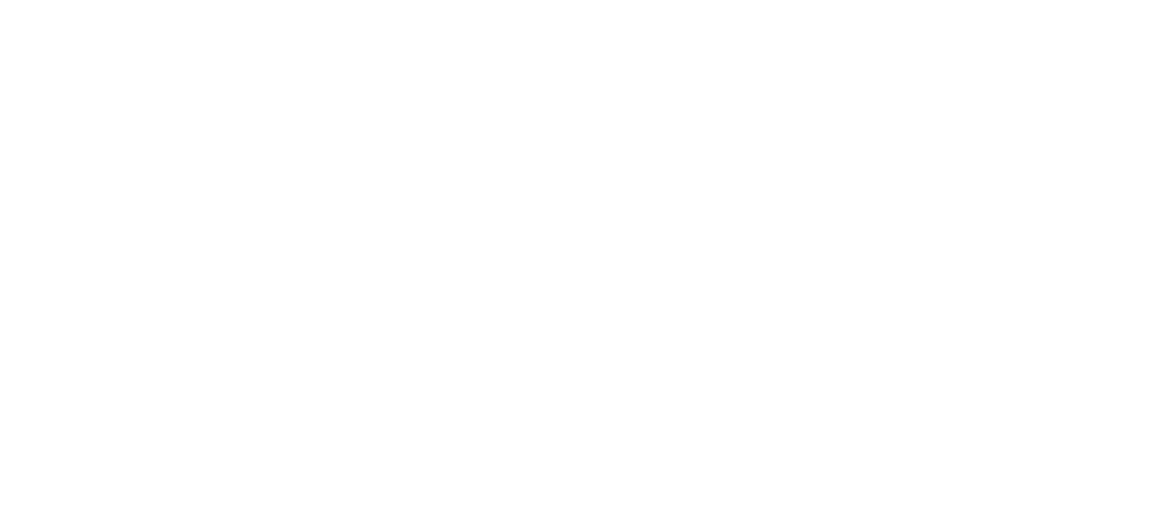 Beijing City International School